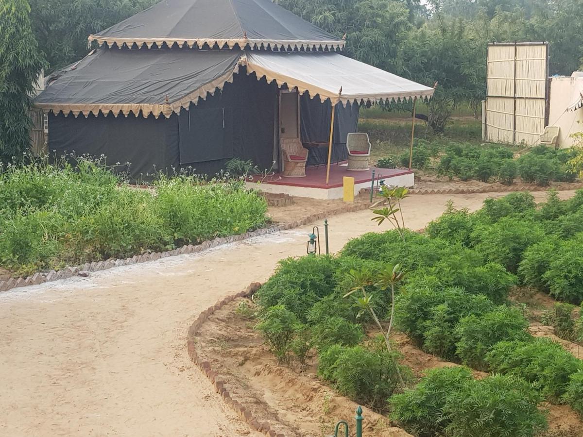 Orchard Tents & Tranquility Pushkar Eksteriør billede
